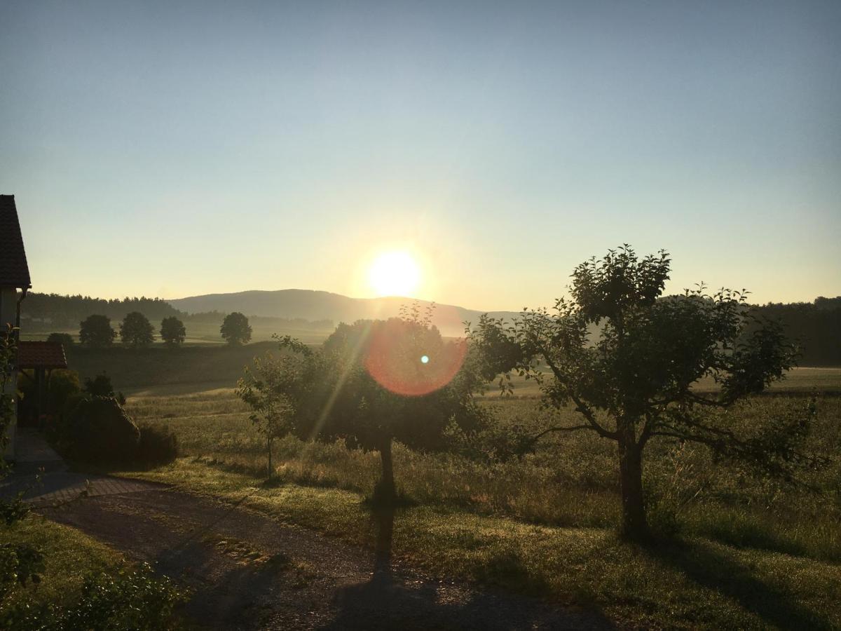 Ferienwohnung Im Idyll 1 Hengersberg Exteriör bild