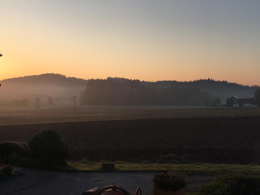 Ferienwohnung Im Idyll 1 Hengersberg Exteriör bild